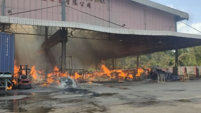 视频 | 家具厂遭大火吞噬 损失惨重 幸无人伤亡