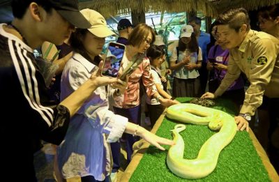 拥变异网纹蟒 白化蟒  城の农场邀你蛇年看蛇 