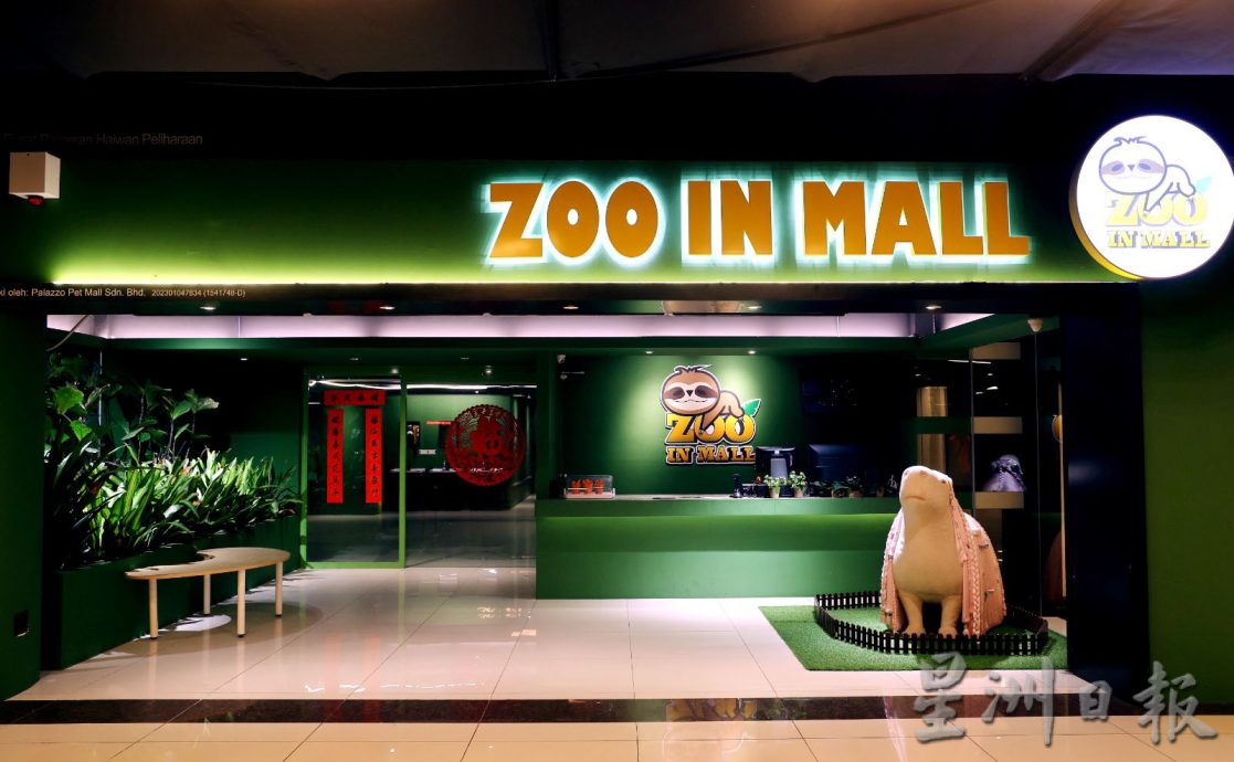 访问Zoo In Mall