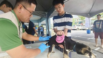 打狂犬病疫苗活动增至5次 . 黄鸿圣：狗主没藉口不去打