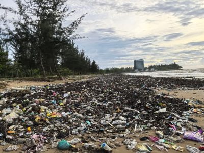 被大潮大浪冲上岸 . 滨海城海湾 满地垃圾