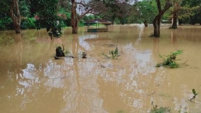 利民济低洼区遇暴雨 河水泛滥 多户淹水