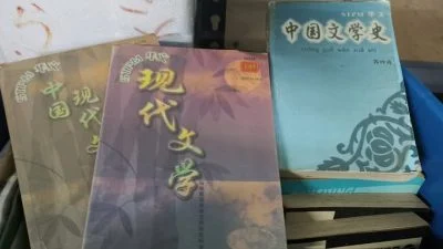 STPM移除中国文学史| “文学史理解中国重要途径”   维华联促教部听取各方意见