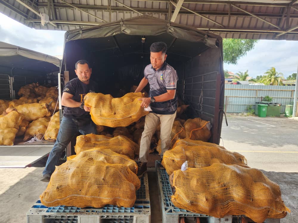 开斋节前2周需求大增 登FAMA将增加进口老椰