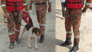 男子挽回女友不果跳河  2搜救犬沿河搜索