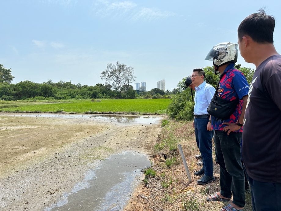 （古城第三版主文）海水倒灌稻田土壤盐化·稻农损失12万5000